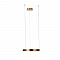 Светильник LOFT IT 10013S