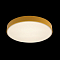 Светильник LOFT IT 10002/24 Yellow